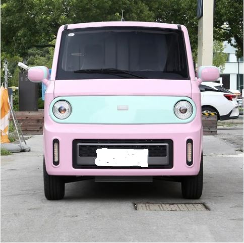 Men Goch Van 2 Syèj Machin elektrik